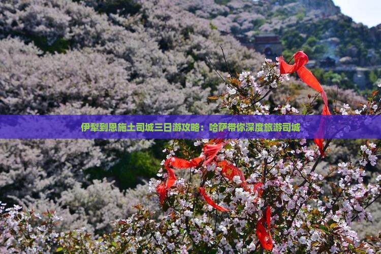 伊犁到恩施土司城三日游