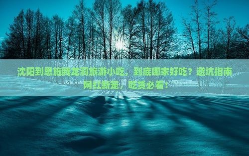 沈阳到恩施腾龙洞旅游小吃