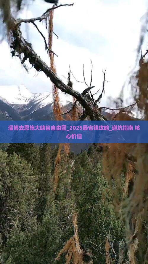 淄博去恩施大峡谷自由团