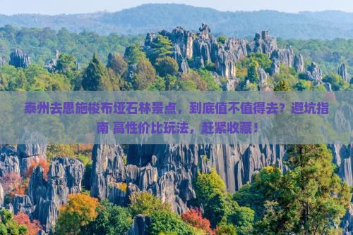 泰州去恩施梭布垭石林景点