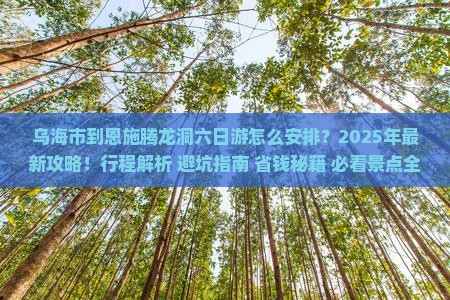 乌海市到恩施腾龙洞六日游