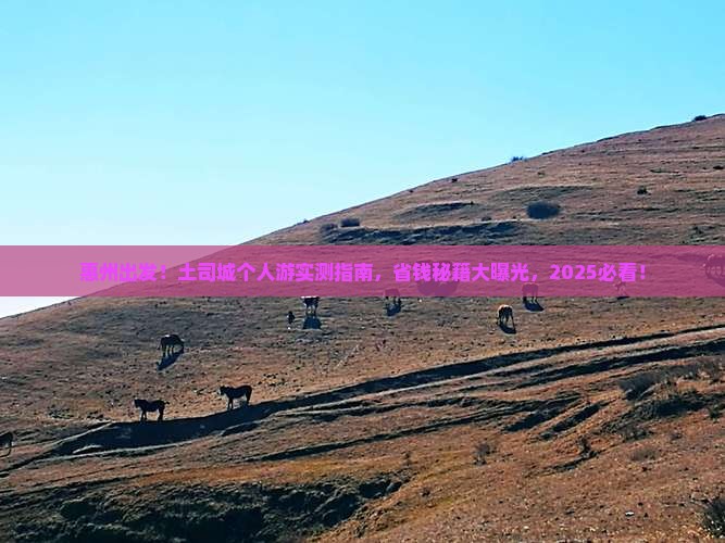 惠州去恩施土司城个人游