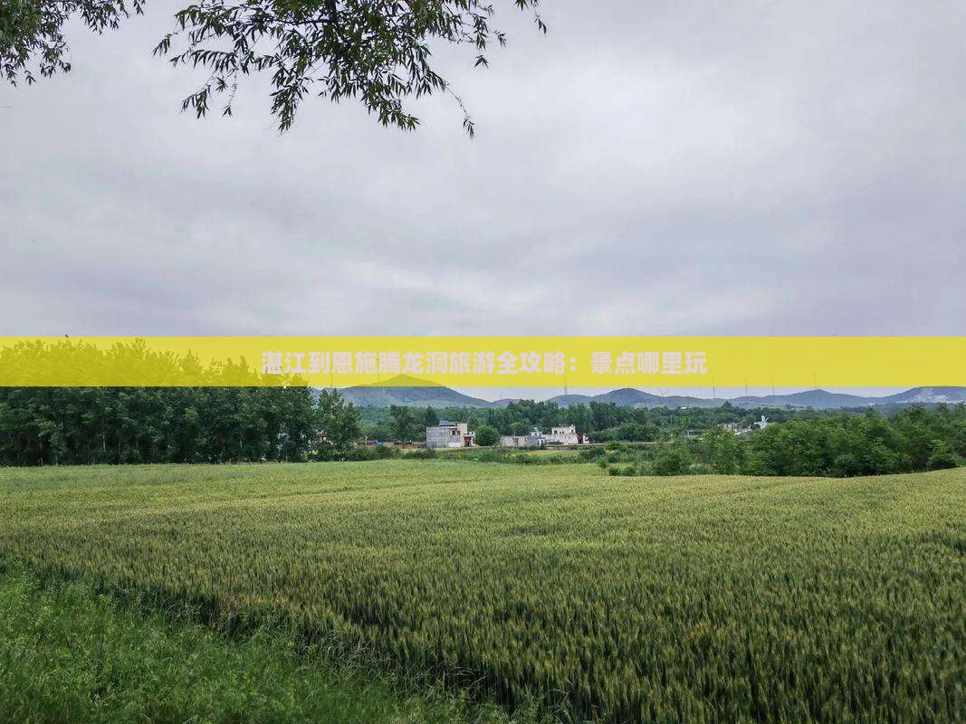 湛江到恩施腾龙洞旅游全攻略：景点哪里玩