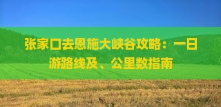 张家口去恩施大峡谷攻略：一日游路线及、公里数指南