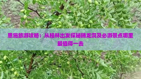 恩施旅游攻略：从桂林出发探秘腾龙洞及必游景点哪里最值得一去
