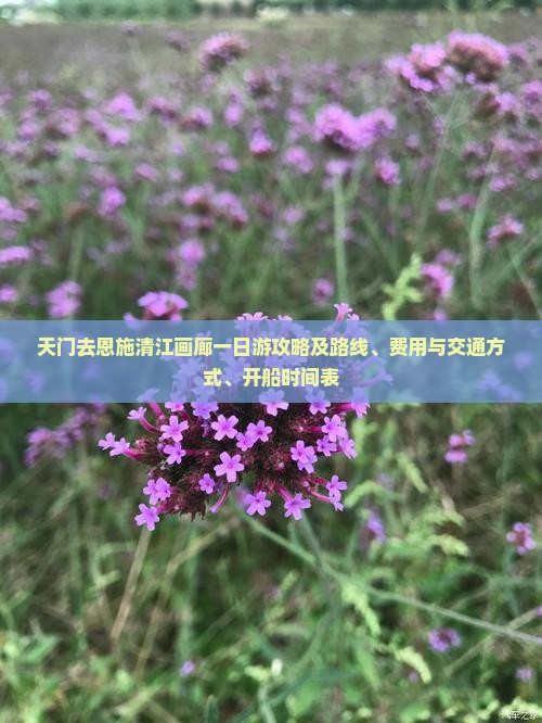 天门去恩施清江画廊一日游攻略及路线、费用与交通方式、开船时间表