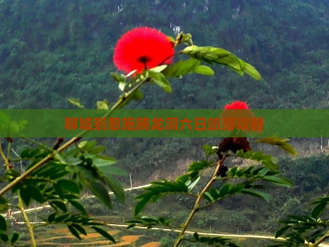 聊城到恩施腾龙洞六日旅游攻略