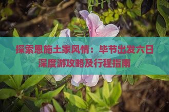探索恩施土家风情：毕节出发六日深度游攻略及行程指南