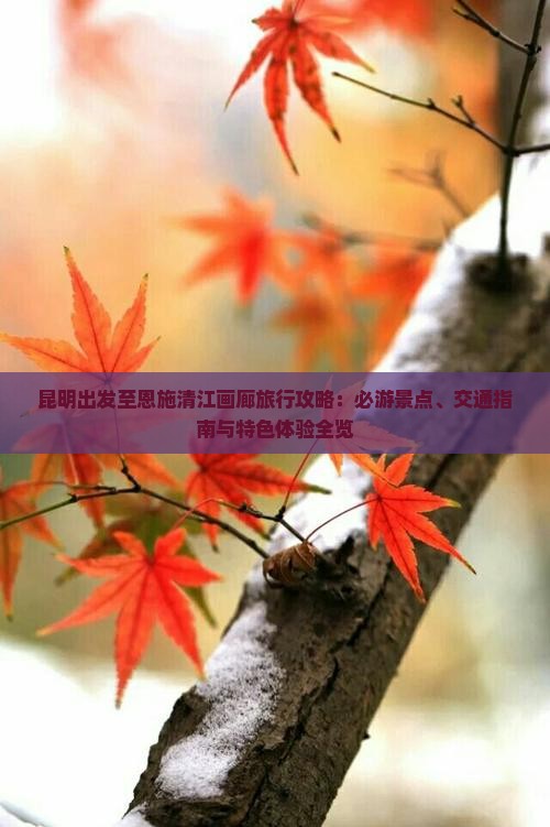 昆明出发至恩施清江画廊旅行攻略：必游景点、交通指南与特色体验全览