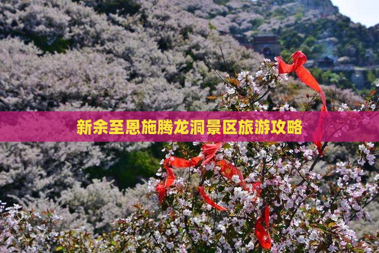 新余至恩施腾龙洞景区旅游攻略