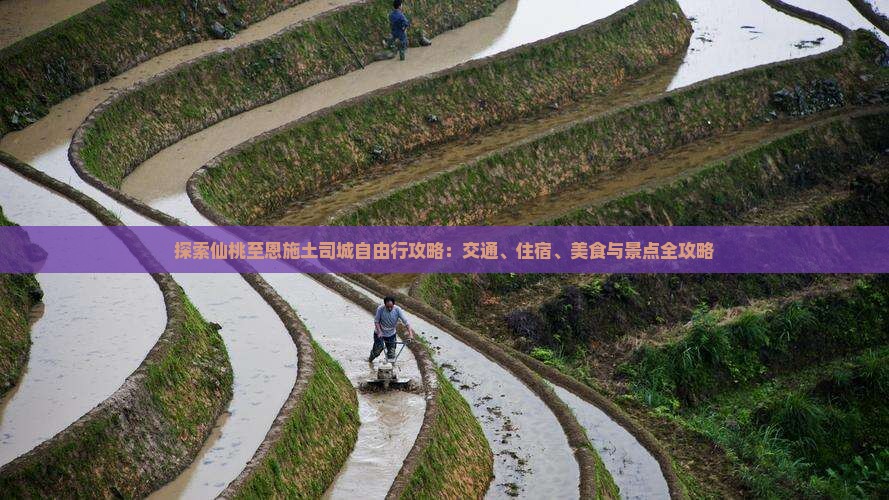 探索仙桃至恩施土司城自由行攻略：交通、住宿、美食与景点全攻略