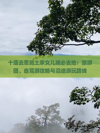 十堰去恩施土家女儿城必去地：旅游团、自驾游攻略与沿途游玩路线