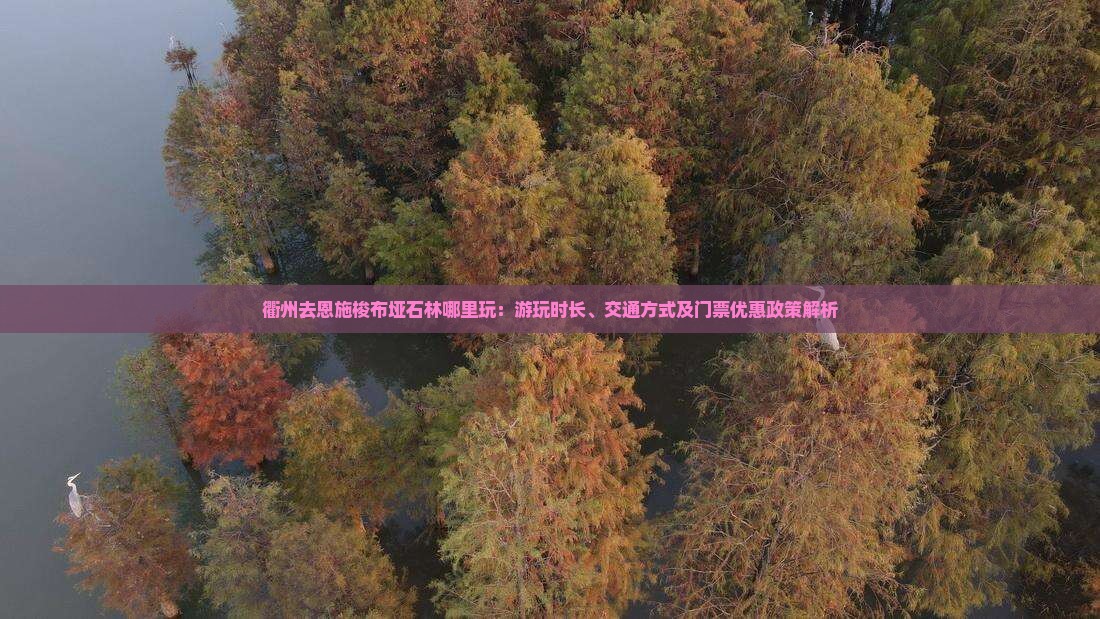 衢州去恩施梭布垭石林哪里玩：游玩时长、交通方式及门票优惠政策解析