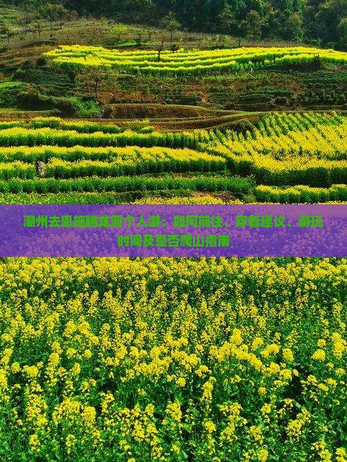 潮州去恩施腾龙洞个人游：如何前往、穿着建议、游玩时间及是否爬山指南