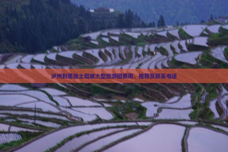 泸州到恩施土司城大型旅游团费用、推荐及联系电话