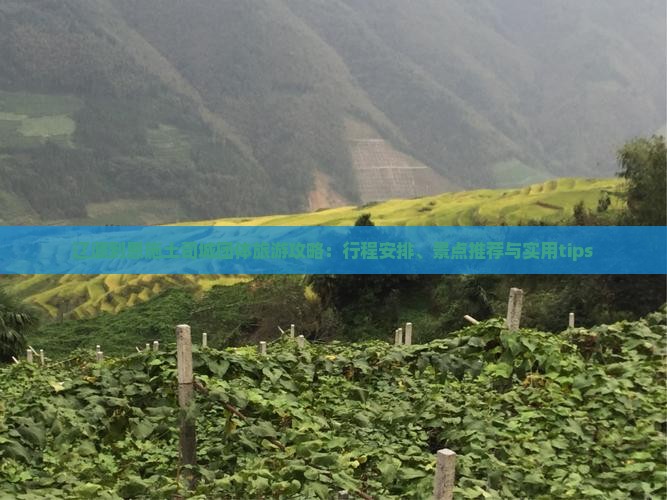 辽源到恩施土司城团体旅游攻略：行程安排、景点推荐与实用tips