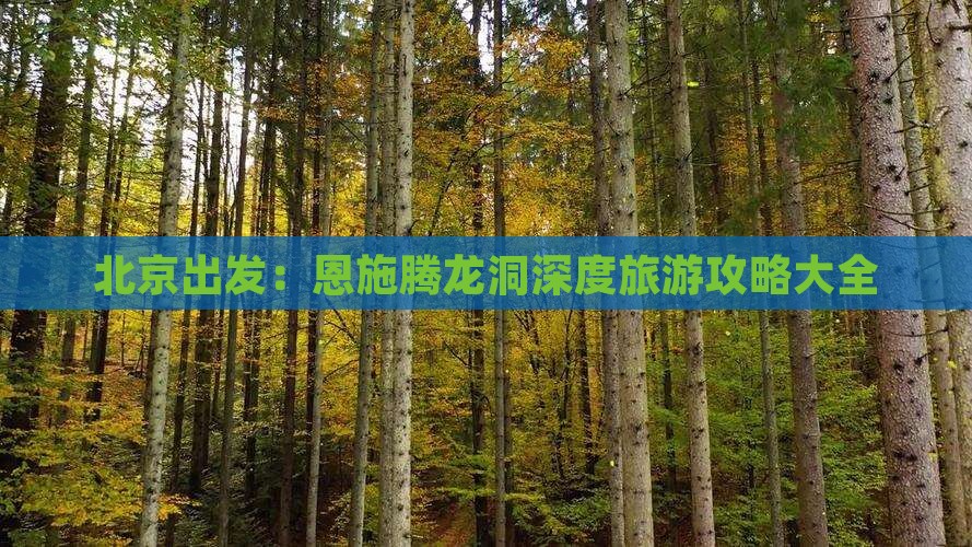 北京出发：恩施腾龙洞深度旅游攻略大全