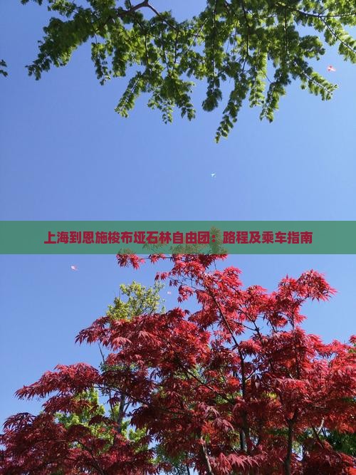 上海到恩施梭布垭石林自由团：路程及乘车指南