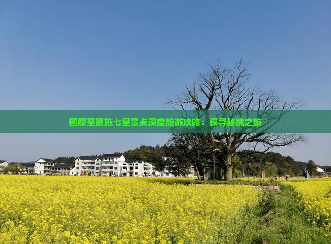 固原至恩施七星景点深度旅游攻略：探寻秘境之旅