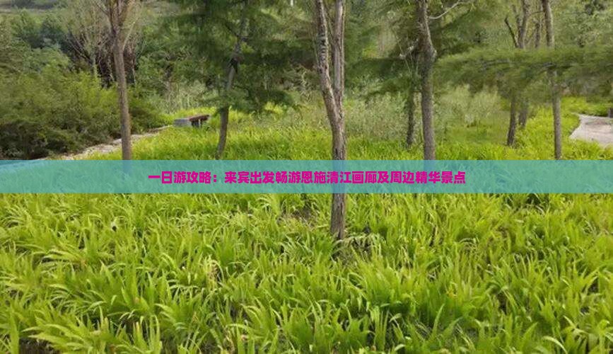 一日游攻略：来宾出发畅游恩施清江画廊及周边精华景点