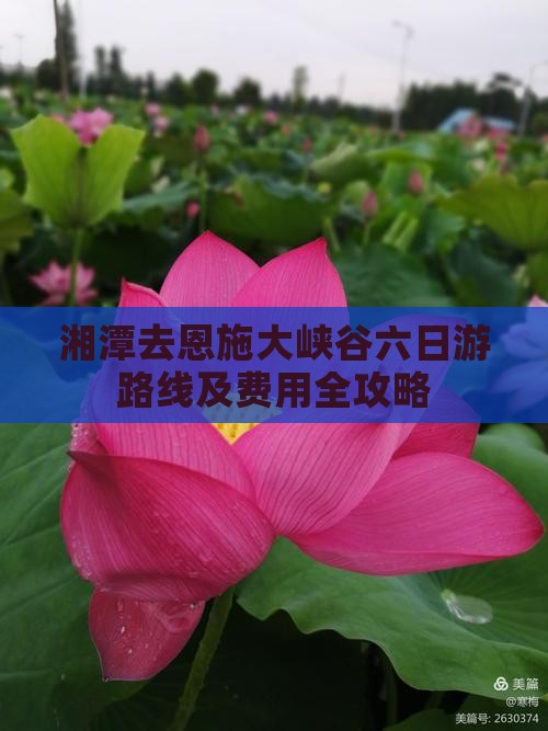 湘潭去恩施大峡谷六日游路线及费用全攻略