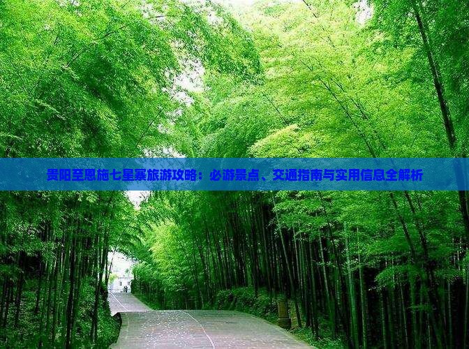 贵阳至恩施七星寨旅游攻略：必游景点、交通指南与实用信息全解析