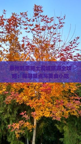 惠州到恩施土司城旅游全攻略：探寻景点与美食小吃