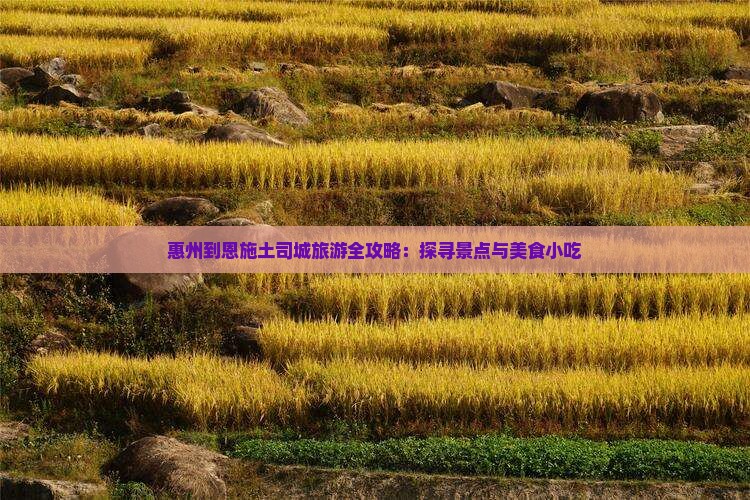 惠州到恩施土司城旅游全攻略：探寻景点与美食小吃