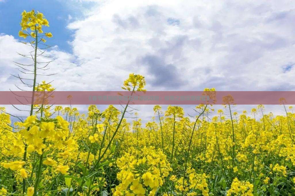 《春节恩施梭布垭石林游玩攻略：梭布之旅深度体验》