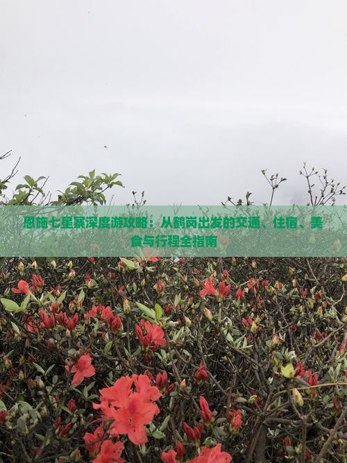 恩施七星寨深度游攻略：从鹤岗出发的交通、住宿、美食与行程全指南