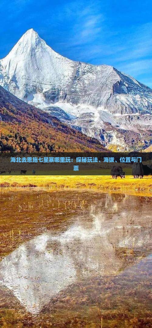 海北去恩施七星寨哪里玩：探秘玩法、海拔、位置与门票