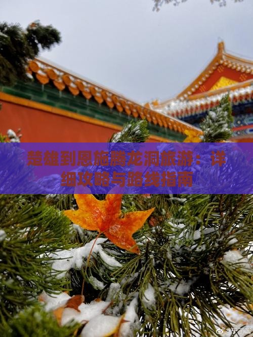 楚雄到恩施腾龙洞旅游：详细攻略与路线指南
