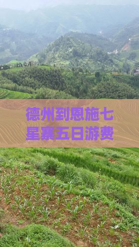 德州到恩施七星寨五日游费用及行程攻略