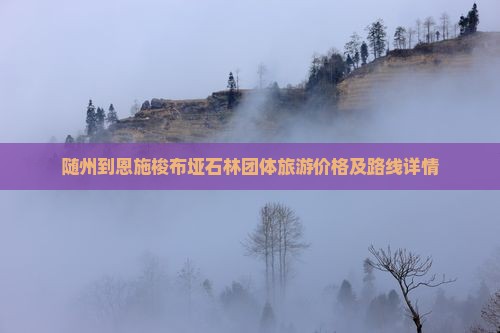 随州到恩施梭布垭石林团体旅游价格及路线详情