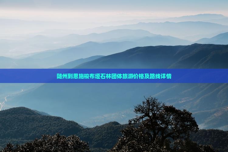随州到恩施梭布垭石林团体旅游价格及路线详情