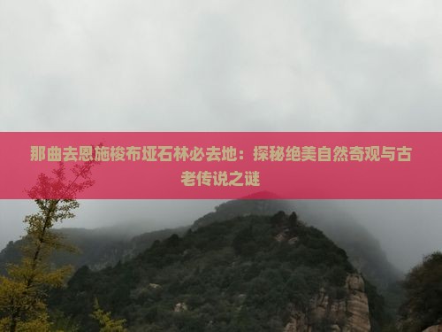 那曲去恩施梭布垭石林必去地：探秘绝美自然奇观与古老传说之谜