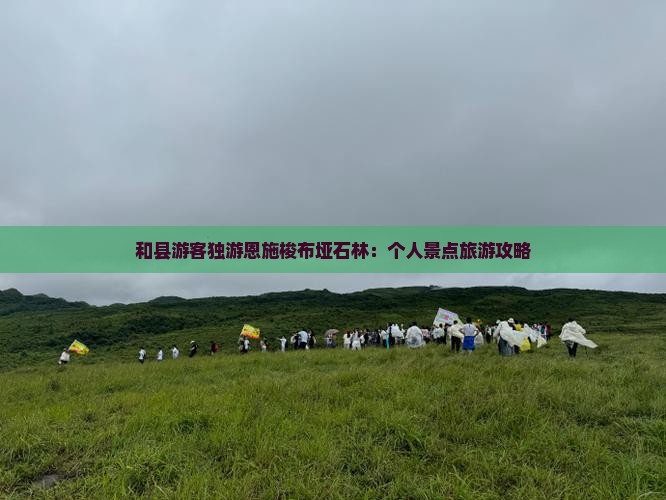 和县游客独游恩施梭布垭石林：个人景点旅游攻略