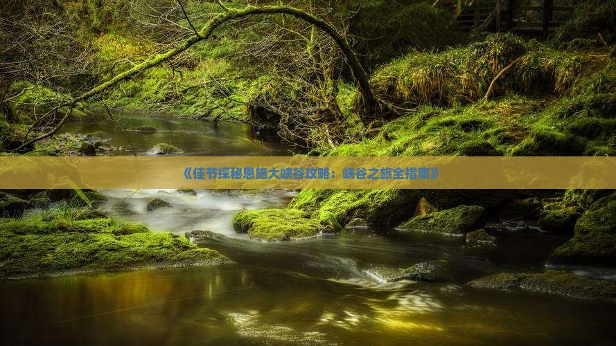 《佳节探秘恩施大峡谷攻略：峡谷之旅全指南》