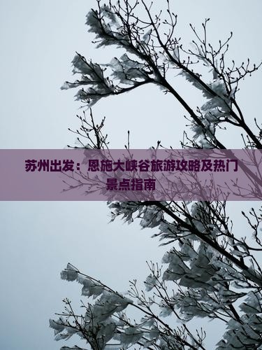 苏州出发：恩施大峡谷旅游攻略及热门景点指南