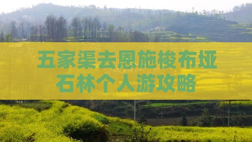 五家渠去恩施梭布垭石林个人游攻略