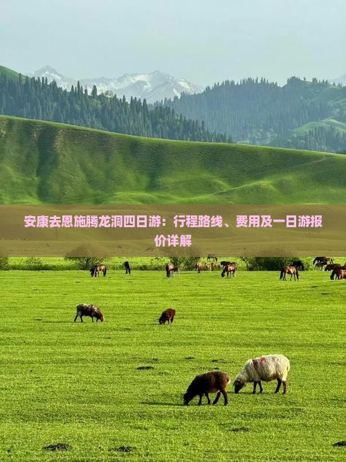 安康去恩施腾龙洞四日游：行程路线、费用及一日游报价详解