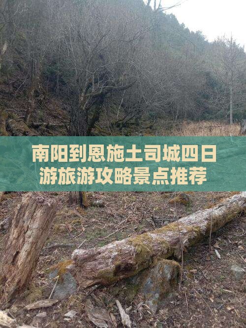 南阳到恩施土司城四日游旅游攻略景点推荐