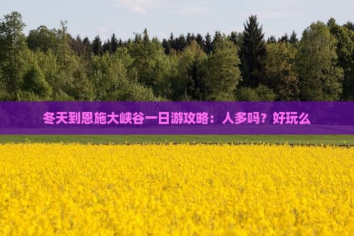 冬天到恩施大峡谷一日游攻略：人多吗？好玩么