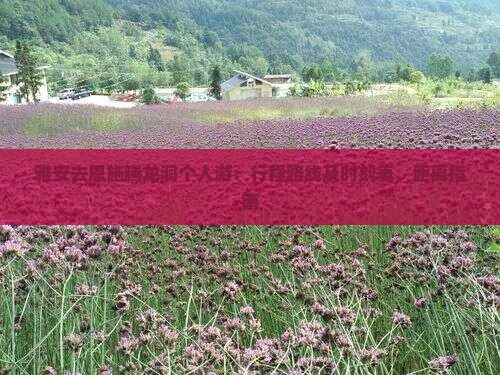 雅安去恩施腾龙洞个人游：行程路线及时刻表、距离指南