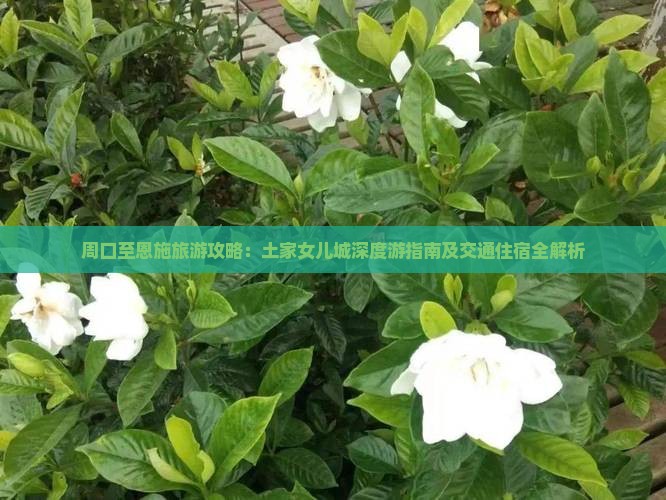 周口至恩施旅游攻略：土家女儿城深度游指南及交通住宿全解析
