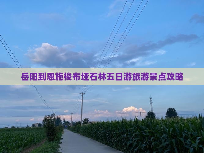 岳阳到恩施梭布垭石林五日游旅游景点攻略