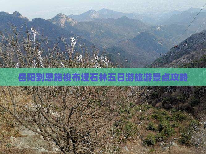 岳阳到恩施梭布垭石林五日游旅游景点攻略