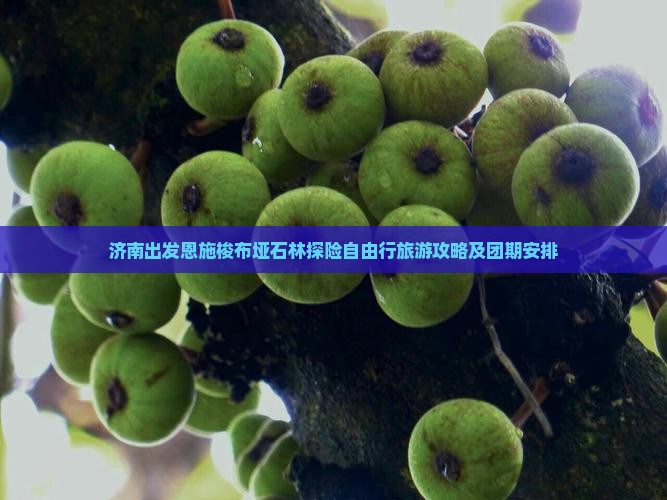 济南出发恩施梭布垭石林探险自由行旅游攻略及团期安排
