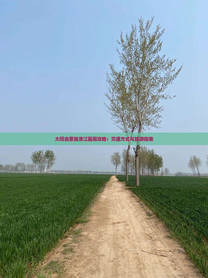 大同去恩施清江画廊攻略：交通方式与旅游指南