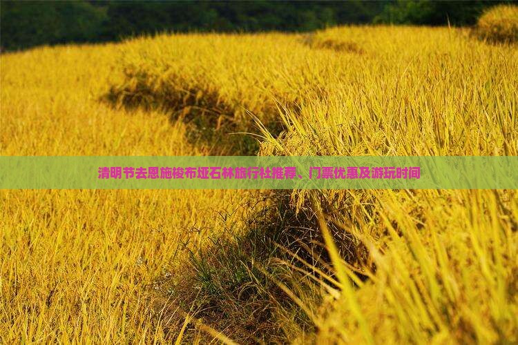 清明节去恩施梭布垭石林旅行社推荐、门票优惠及游玩时间